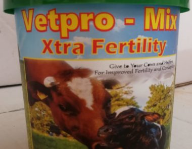 Xtra Fertility